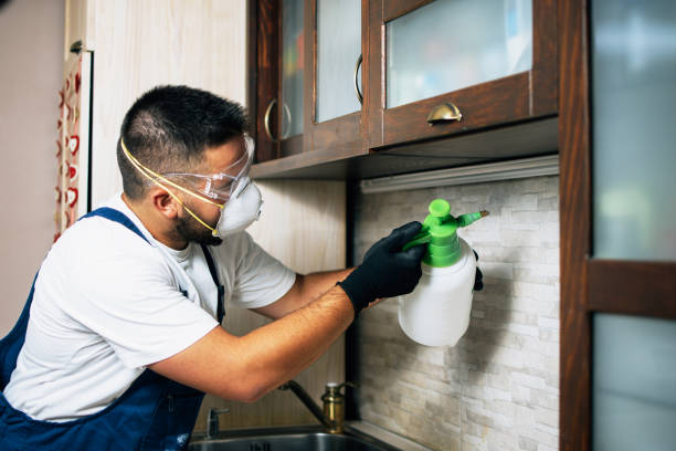 Best Wasp Removal Services  in Tallahassee, FL