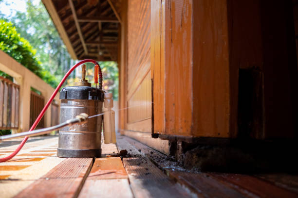 Best Pest Control for Businesses  in Tallahassee, FL