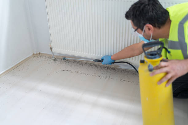Best Pest Inspection Near Me  in Tallahassee, FL