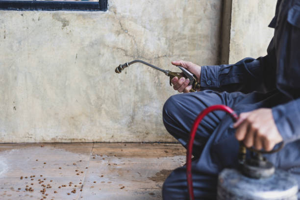 Best Exterminator Services  in Tallahassee, FL